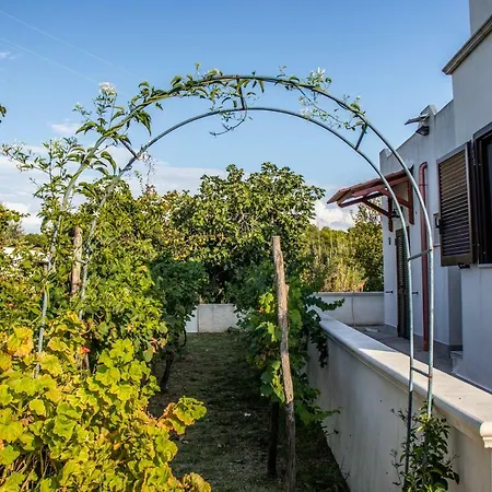 Il Giunco B&B-2